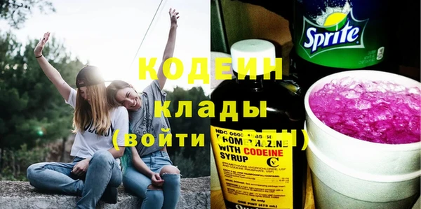гидра Кодинск